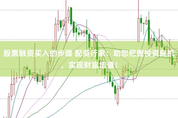 股票融资买入的步骤 配资行家：助您把握投资良机，实现财富增值！