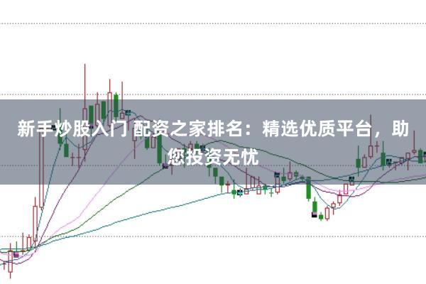 新手炒股入门 配资之家排名：精选优质平台，助您投资无忧
