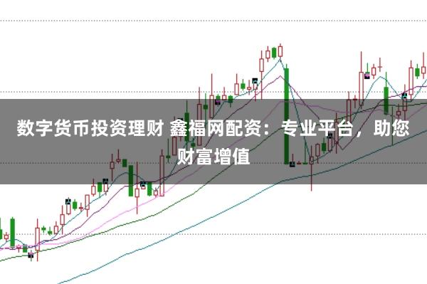 数字货币投资理财 鑫福网配资：专业平台，助您财富增值