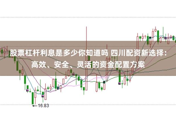 股票杠杆利息是多少你知道吗 四川配资新选择：高效、安全、灵活的资金配置方案