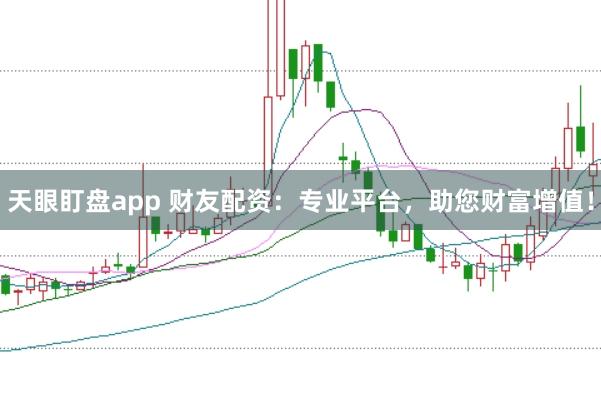 天眼盯盘app 财友配资：专业平台，助您财富增值！